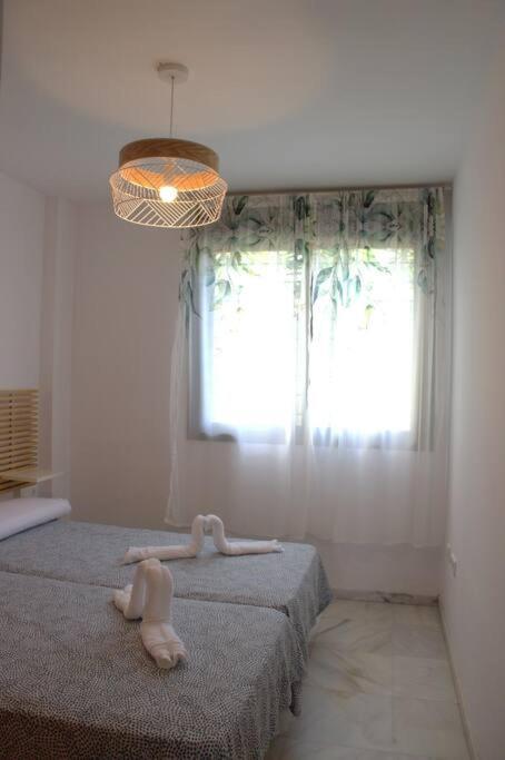 Apartment Domus Aura *